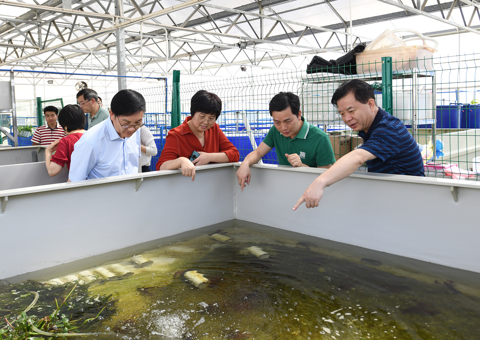 王玲一行调研304永利集团官网入口教学科研基地,查看小龙虾养殖情况(记者 刘涛 摄) 王玲一行调研304永利集团官网入口教学科研基地,查看小龙虾养殖情况(记者 刘涛 摄)